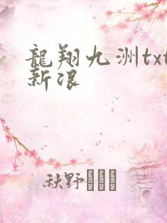 龙翔九洲txt新浪