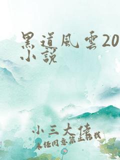 黑道风云20年小说