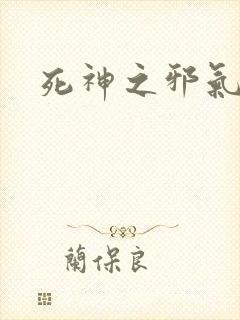 死神之邪气一护