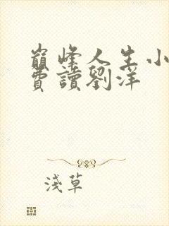 巅峰人生小说免费读刘洋