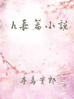 h长篇小说