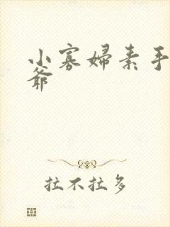 小寡妇素手擒四爷