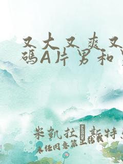 又大又爽又黄无码A片男和男