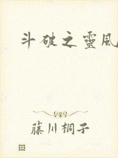 斗破之灵风