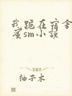 我跪在宿舍被闺蜜sm小说