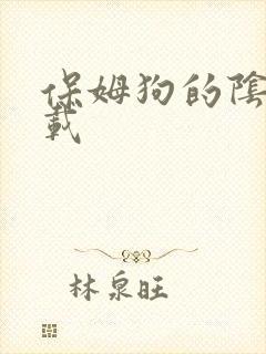 保姆狗的阴谋下载