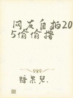 网友自拍2015偷偷撸