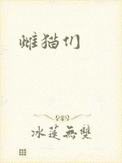 雌猫们