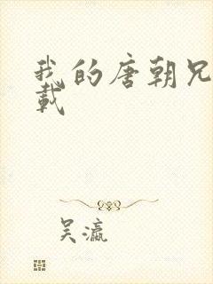 我的唐朝兄弟下载