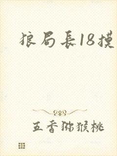 狼局长18摸