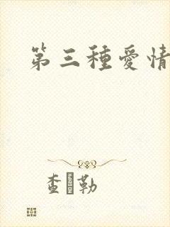 第三种爱情续集