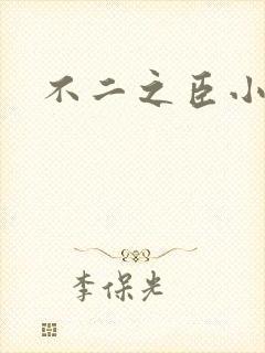 不二之臣小说