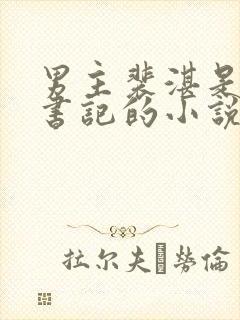 男主裴湛是省委书记的小说