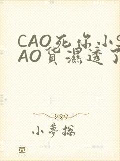 CAO死你小SAO货湿透了学长