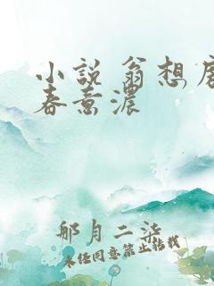 小说 翁想房中春意浓