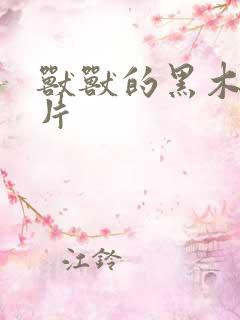 兽兽的黑木耳照片