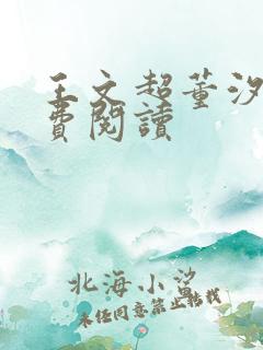 王文超董汐瑜免费阅读