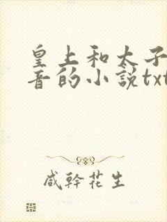 皇上和太子妃沈音的小说txt