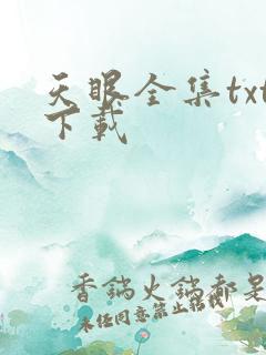 天眼全集txt下载