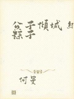 公子倾城 维和粽子