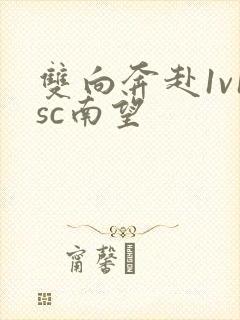 双向奔赴1v1sc南望