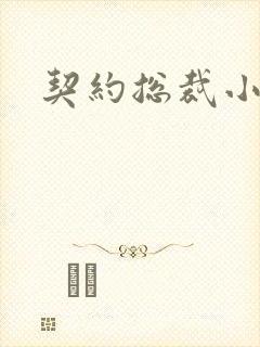 契约总裁小萌宝