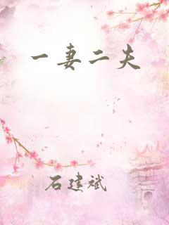 一妻二夫