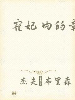 宠妃 肉的章节