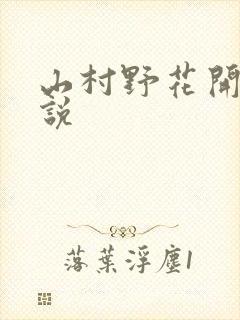山村野花开 小说