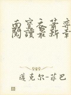 南宝衣萧弈免费阅读最新章节