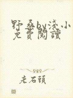 野桑by浅小说免费阅读