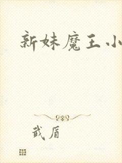 新妹魔王小说