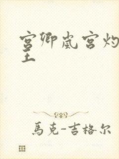 宫卿岚宫灼摄政王