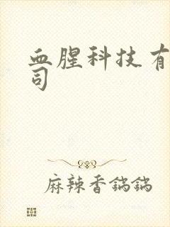 血腥科技有限公司