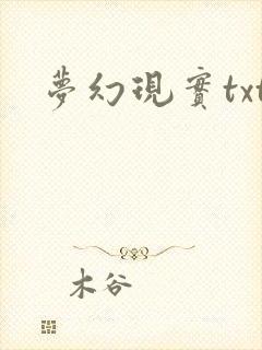 梦幻现实txt
