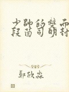 少帅的双面宠妻段茵司明封免费