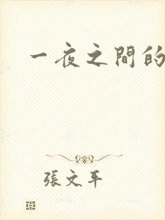 一夜之间的天才