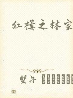 红楼之林家有妻