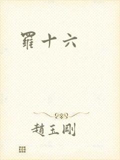 罗十六