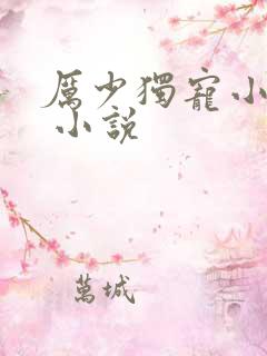 厉少独宠小娇妻 小说