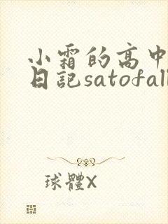 小霜的高中成长日记satofall