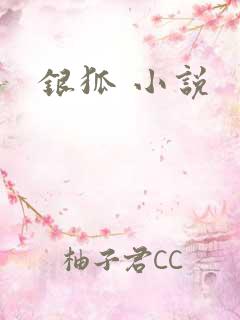 银狐 小说