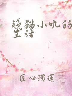 贱猫小叽的幸福生活