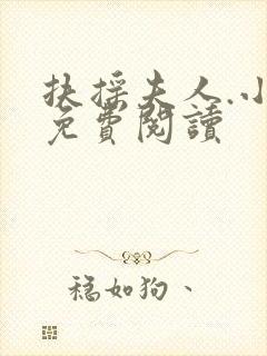 扶摇夫人.小说免费阅读