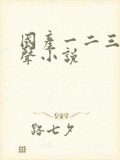 国产一二三区有声小说