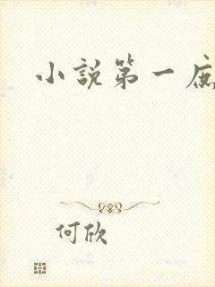 小说第一庶女