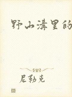 野山沟里的村庄