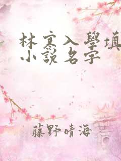 林寒入学填未婚小说名字