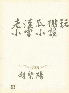 老汉瓜棚玩小丹小雪小说