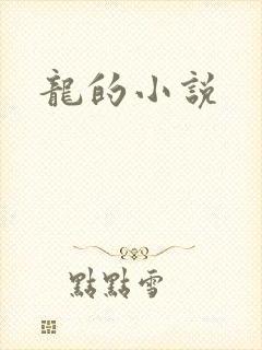 龙的小说